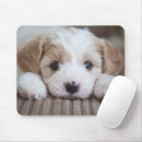 Search for baby mousepads Dog