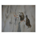 Search for piper art Bird