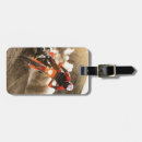 Search for motorcycle luggage tags Motorcyclist