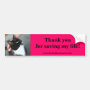 Search for tuxedo bumper stickers Cute
