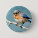 Search for bluebird badges Animal