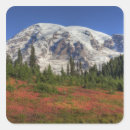 Search for mt rainier national park stickers Np