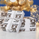 Search for opossum wrapping paper Marsupial