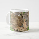 Search for common mugs Nature
