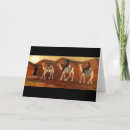 Search for camel desert cards Vacation