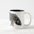 Search for dachshund puppies mugs Doxie