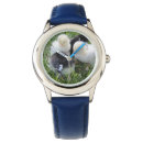 Search for chicken watches Bird