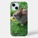 Search for baby rabbit iphone cases Nature