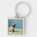 Search for separate key rings Loneliness