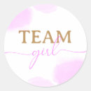 Search for gender reveal stickers Script