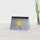 Search for buttercup cards Nature