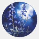 Search for nocturnal stickers Moonlight