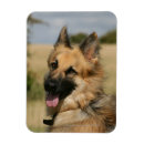 Search for deutscher magnets Headshot