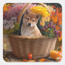 Search for shiba stickers Puppy