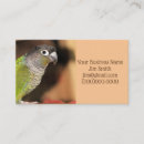 Search for conure photography Green
