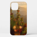 Search for apple tree photography Autumn