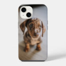 Search for dachshund puppy iphone cases Canine