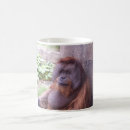 Search for orangutan mugs Zoo
