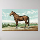Search for vintage horse posters Country