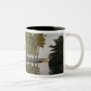 Search for palm coast mugs Tourism
