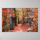 Search for forest trail Autumn