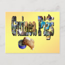 Search for guinea postcards Pet