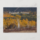Search for flagstaff postcards Travel
