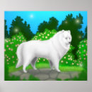 Search for white siberian husky posters Alaska