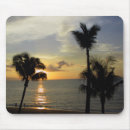 Search for maui photography Palm