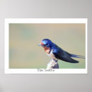 Search for barn posters Photography