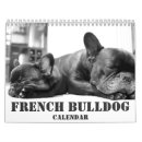 Search for black and white calendars Puppy