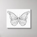 Search for butterfly mandala art Zendoodle