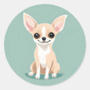Search for chihuahuas stickers Cute