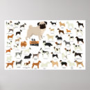 Search for dog breed posters Animals