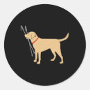 Search for ski poles stickers Adventure