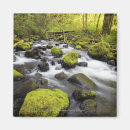 Search for moss magnets Outdoors