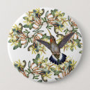 Search for hummingbirds badges Animals