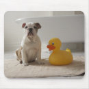 Search for plastic mousepads White