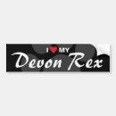 Search for devon rex Breed