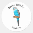 Search for budgerigar stickers Bird