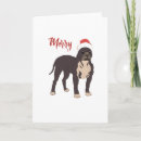 Search for pitbull christmas cards Pet