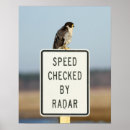 Search for refuges posters Birds