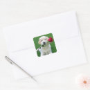 Search for dog rose stickers Golden retriever