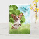 Search for cavalier cards Pets