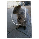 Search for friendly photography Wildlife