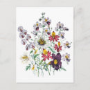 Search for velvet postcards Floral