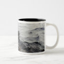 Search for slicks mugs Gulf of mexico