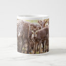 Search for herd mugs Cattle