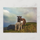 Search for cliffs of moher ireland postcards County clare
