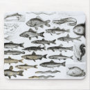 Search for zoology mousepads Species